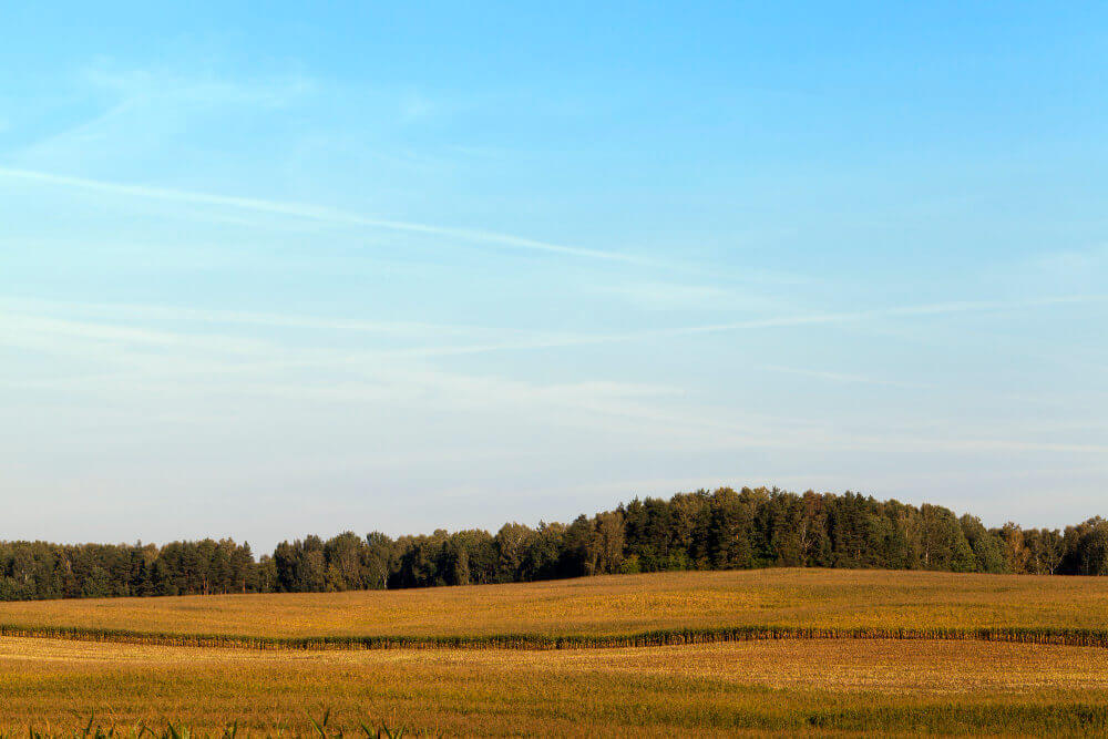 conservacion-forraje reservas forrajeras
